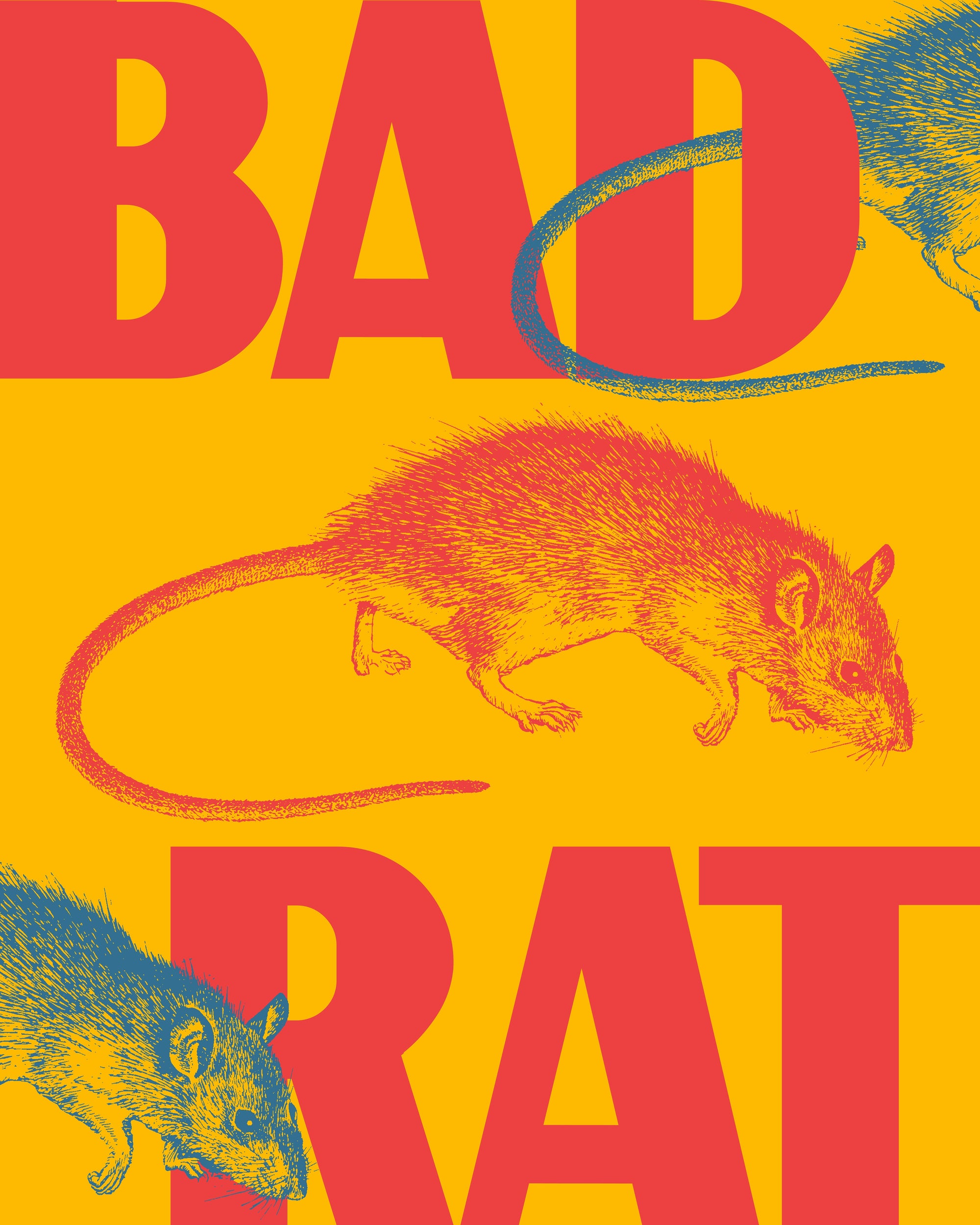 Bad Rat, 2026
