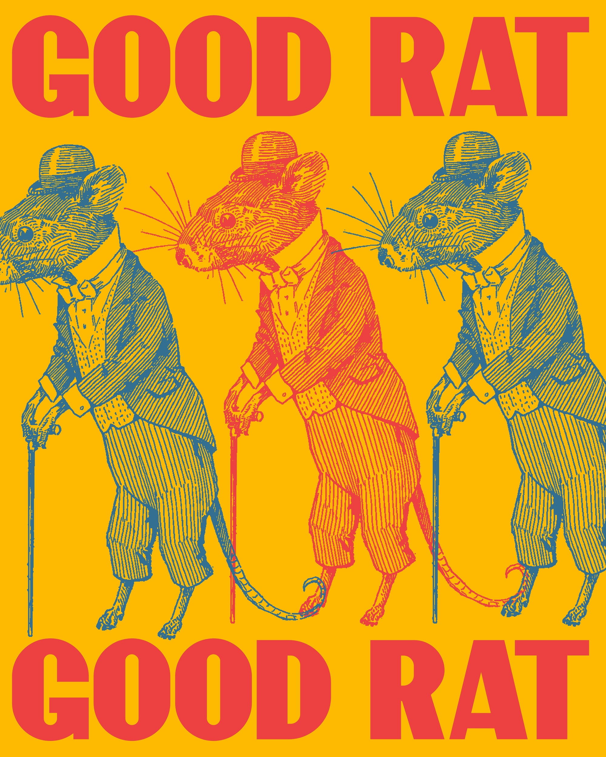 Good Rat, 2026