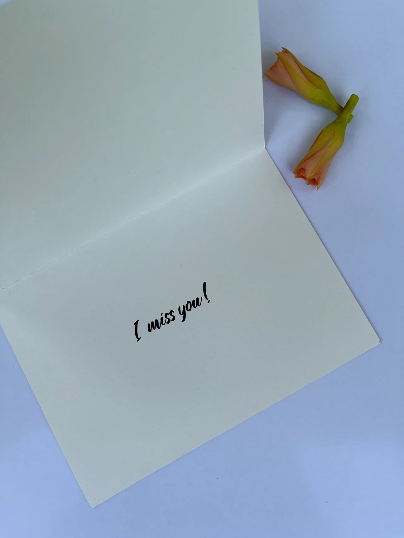 Daak Greeting Card - I Miss You!